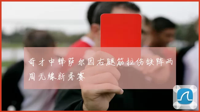 奇才中锋萨尔因右腿筋拉伤缺阵两周无缘新秀赛